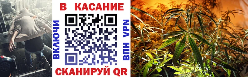 МЕТАДОН Можга