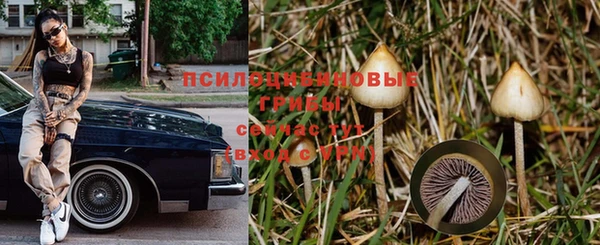 a pvp Елизово