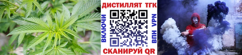 МЕГА зеркало  купить наркотик  Можга  Дистиллят ТГК THC oil 