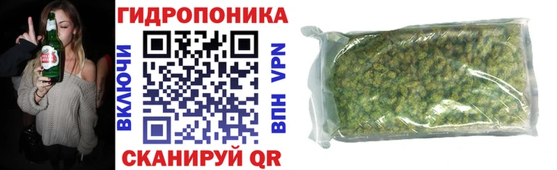 Бошки марихуана план  Можга 